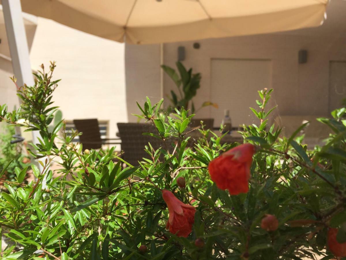 مبيت وإفطار مونوبولي Casa Roberta المظهر الخارجي الصورة